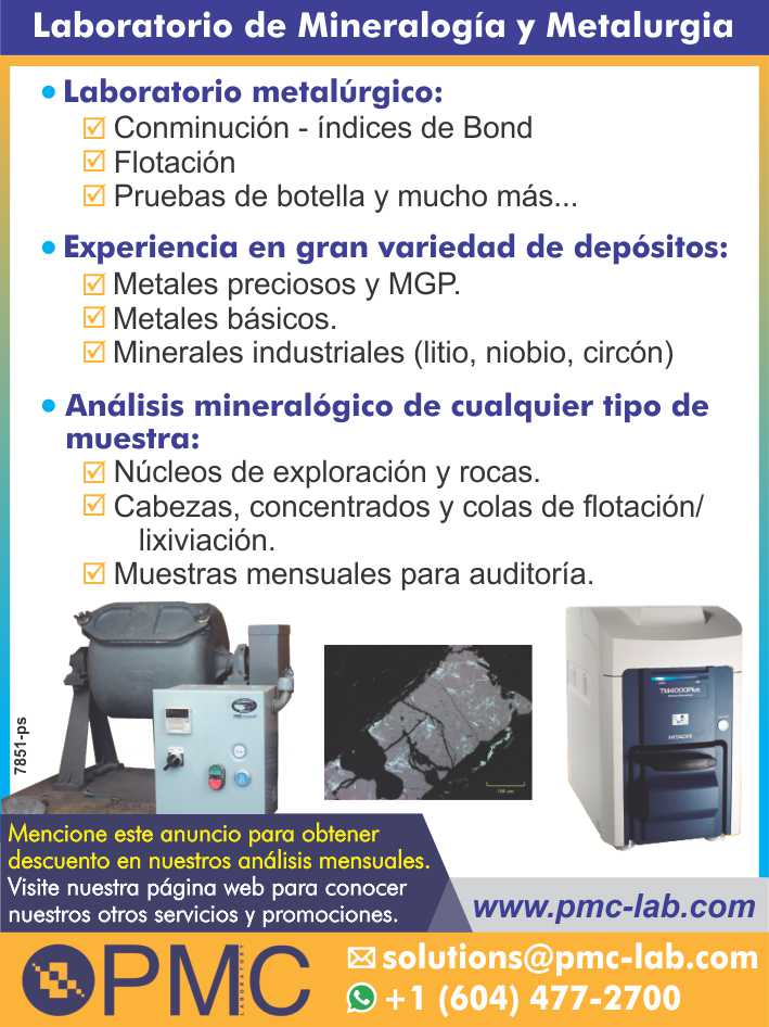 Analysis of concentration or leaching process. -Mineralogical analysis of any type of sample and Metallurgical Laboratory. - Metalurgic laboratory.